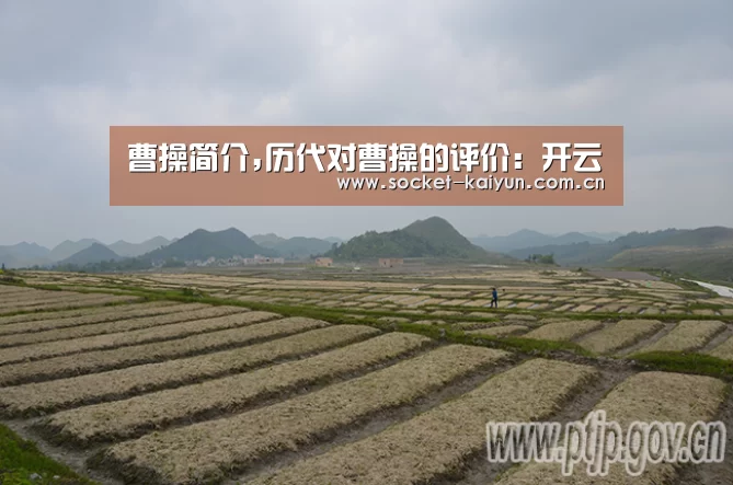 曹操简介,历代对曹操的评价:开云(图1) 开元